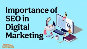 Value of SEO in Digital Marketing: Initiatives Boost Rankings